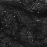 Thumbnail for dataset FiguS4A-S4B_Carvone_4