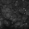 Thumbnail for dataset FiguS4A-S4B_Cineol_1