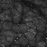 Thumbnail for dataset FiguS4A-S4B_Cineol_4