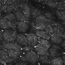 Thumbnail for dataset FiguS4A-S4B_Cineol_5