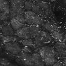 Thumbnail for dataset FiguS4A-S4B_Cineol_7