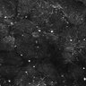 Thumbnail for dataset FiguS4A-S4B_Cinnamaldehyde_1