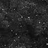 Thumbnail for dataset FiguS4A-S4B_Cinnamaldehyde_2