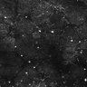 Thumbnail for dataset FiguS4A-S4B_Cinnamaldehyde_3