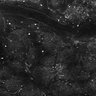 Thumbnail for dataset FiguS4A-S4B_Cinnamaldehyde_4