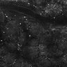 Thumbnail for dataset FiguS4A-S4B_Cinnamaldehyde_5