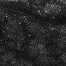 Thumbnail for dataset FiguS4A-S4B_Cinnamaldehyde_6
