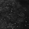 Thumbnail for dataset FiguS4A-S4B_Cinnamaldehyde_9