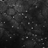 Thumbnail for dataset FiguS4A-S4B_Citral_1