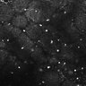 Thumbnail for dataset FiguS4A-S4B_Citral_2