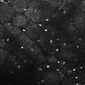Thumbnail for dataset FiguS4A-S4B_Citral_3