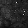 Thumbnail for dataset FiguS4A-S4B_Enanthaldehyde_2
