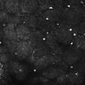 Thumbnail for dataset FiguS4A-S4B_Enanthaldehyde_3