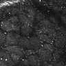 Thumbnail for dataset FiguS4A-S4B_Enanthaldehyde_4