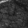 Thumbnail for dataset FiguS4A-S4B_Enanthaldehyde_6