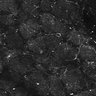 Thumbnail for dataset FiguS4A-S4B_Enanthaldehyde_7