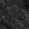 Thumbnail for dataset FiguS4A-S4B_Enanthaldehyde_8