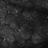 Thumbnail for dataset FiguS4A-S4B_Ethyl-hexanoate_1