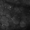 Thumbnail for dataset FiguS4A-S4B_Ethyl-hexanoate_2