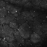 Thumbnail for dataset FiguS4A-S4B_Ethyl-hexanoate_3
