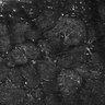 Thumbnail for dataset FiguS4A-S4B_Ethyl-hexanoate_5