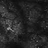 Thumbnail for dataset FiguS4A-S4B_Ethyl-hexanoate_7