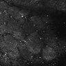Thumbnail for dataset FiguS4A-S4B_Eugenol_1