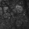 Thumbnail for dataset FiguS4A-S4B_Eugenol_5