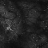 Thumbnail for dataset FiguS4A-S4B_Eugenol_7
