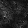 Thumbnail for dataset FiguS4A-S4B_Eugenol_8