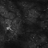Thumbnail for dataset FiguS4A-S4B_Eugenol_9