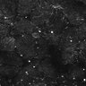 Thumbnail for dataset FiguS4A-S4B_Fenchone_1