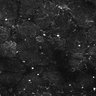 Thumbnail for dataset FiguS4A-S4B_Fenchone_2