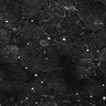 Thumbnail for dataset FiguS4A-S4B_Fenchone_3