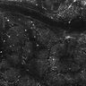 Thumbnail for dataset FiguS4A-S4B_Fenchone_4