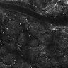 Thumbnail for dataset FiguS4A-S4B_Fenchone_5
