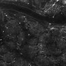 Thumbnail for dataset FiguS4A-S4B_Fenchone_6