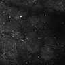 Thumbnail for dataset FiguS4A-S4B_Guaiacol_1