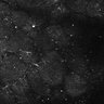 Thumbnail for dataset FiguS4A-S4B_Guaiacol_2