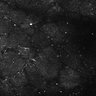 Thumbnail for dataset FiguS4A-S4B_Guaiacol_3