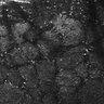 Thumbnail for dataset FiguS4A-S4B_Guaiacol_4