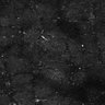 Thumbnail for dataset FiguS4A-S4B_Hexanoic-acid_2