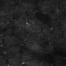 Thumbnail for dataset FiguS4A-S4B_Hexanoic-acid_3