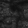 Thumbnail for dataset FiguS4A-S4B_Hexanoic-acid_4