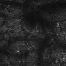 Thumbnail for dataset FiguS4A-S4B_Hexanoic-acid_6