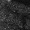 Thumbnail for dataset FiguS4A-S4B_Hexanoic-acid_9