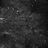 Thumbnail for dataset FiguS4A-S4B_Hexylaldehyde_8