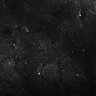 Thumbnail for dataset FiguS4A-S4B_Jasmone_1
