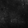 Thumbnail for dataset FiguS4A-S4B_Jasmone_3