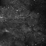 Thumbnail for dataset FiguS4A-S4B_Jasmone_7
